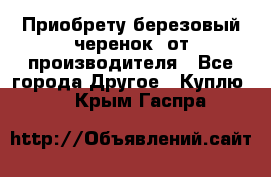 Приобрету березовый черенок  от производителя - Все города Другое » Куплю   . Крым,Гаспра